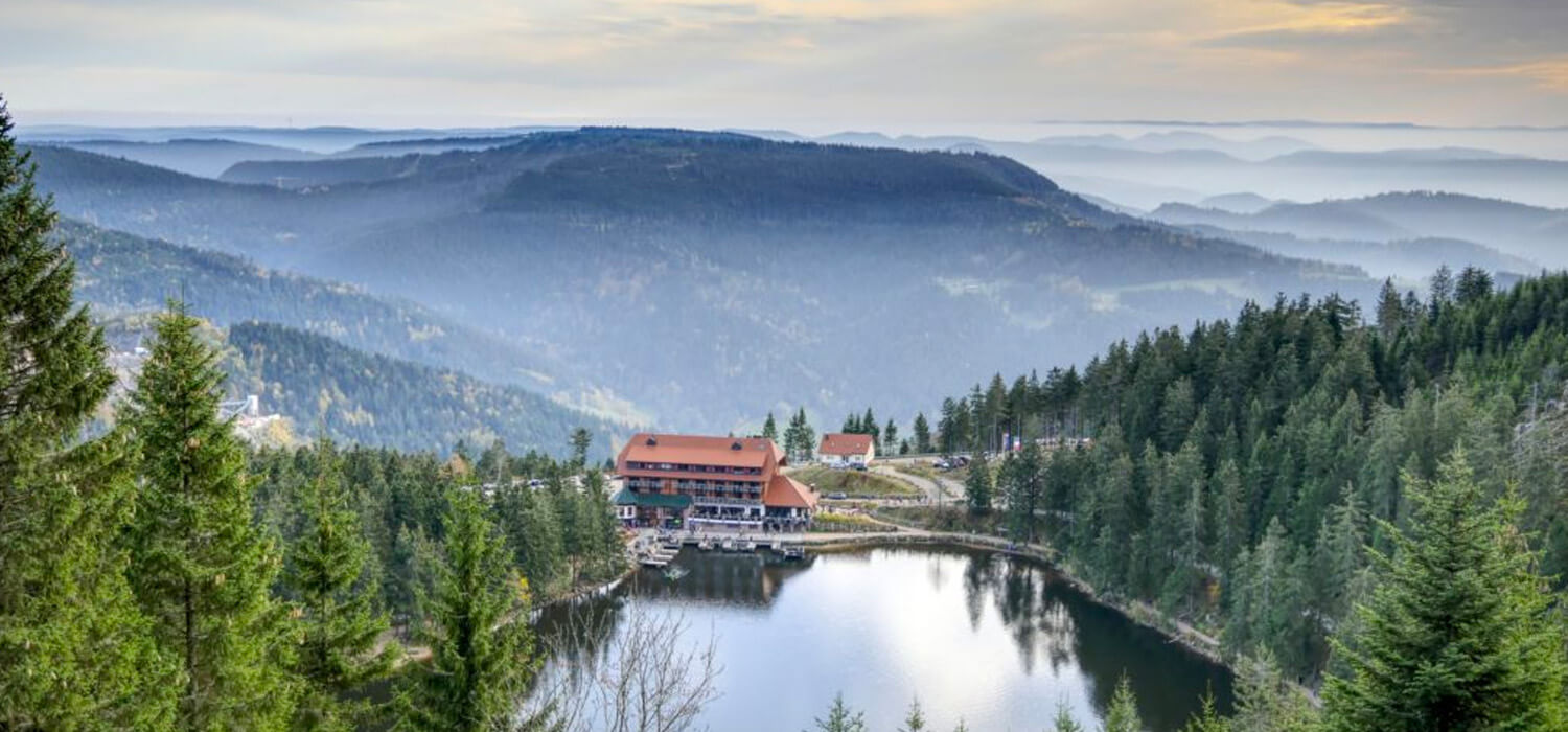 Avrupa’da Çalışma Hayali: Summer Work Germany Programının Fırsatları